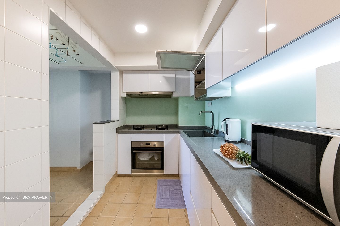 Evergreen Park (D19), Apartment #502450711